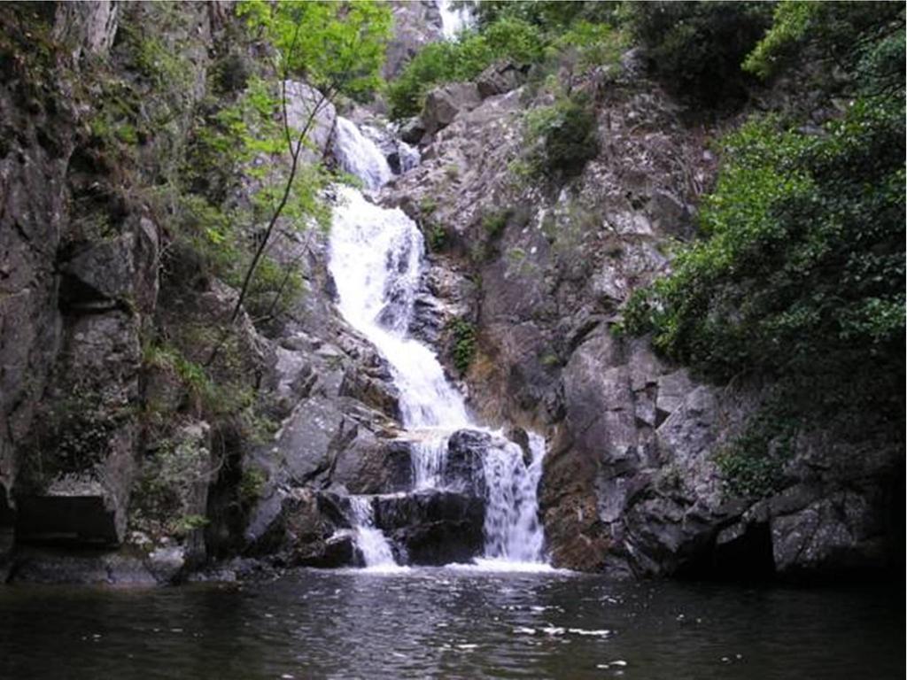 Borgo Della Longevita Bed & Breakfast Bivongi Dış mekan fotoğraf